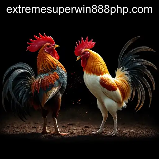 ExtremeSuperWin888 and the Impact on Sabong Games